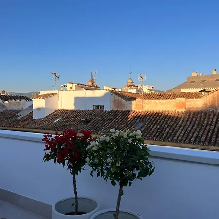 Atarazanas Suite, Atico Con Terraza Appartement Málaga